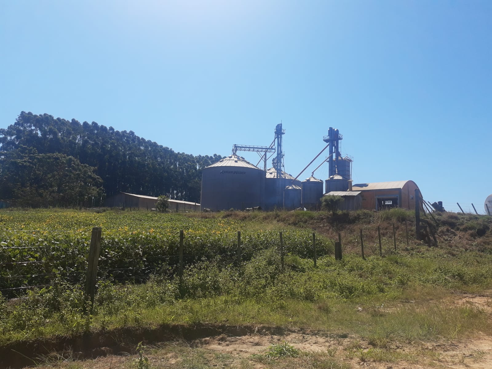 Ação atende à Norma n. 4 da Câmara de Agronomia